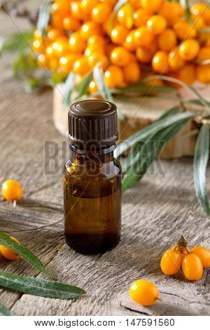 Seabuckthorn Berries Branch Of Sea Buckthorn And Oil On A Vintage Wooden Background.