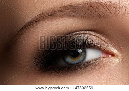 Elegance Close-up Of Female Eye With Classic Dark Brown Smoky Ma