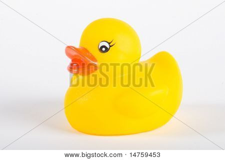 Squittio Toy paperella di gomma