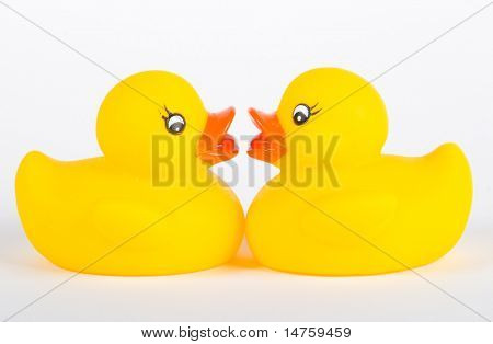 Squittio Toy paperella di gomma