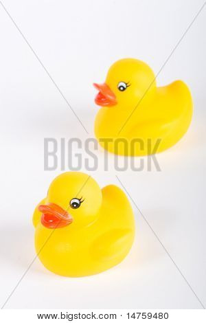 Squittio Toy paperella di gomma
