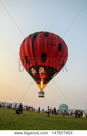CHIANGRAI THAILAND - FEBRUARY 14 2016 : Hot air Balloons ready to rise into the sky in the evening at SINGHA PARK CHIANGRAI BALLOON FIESTA 2016 Chiangrai province Thailand
