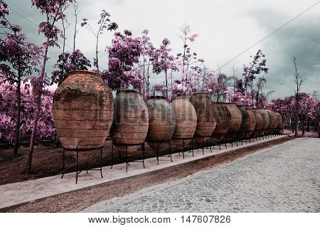 Park of Ois da ribeira pateira de Fermentelos