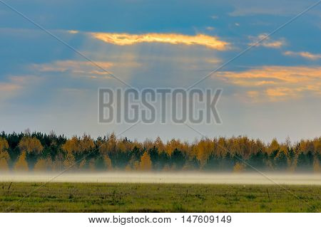 autumn mist and the sun rays coming through the clouds