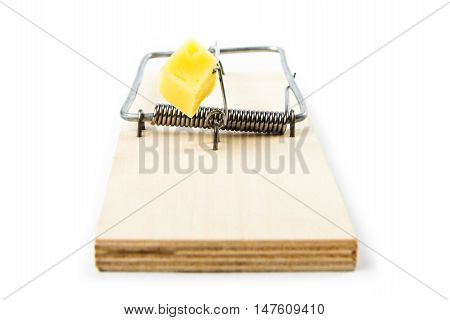 Mousetrap with cheese isolated on white background