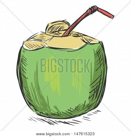 Vector Color Sketch Coconut Cocktail With A Straw