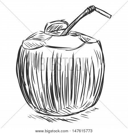 Vector Coconut Cocktail With A Straw