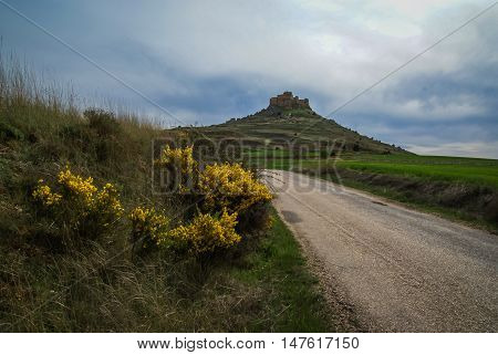 Medieval Castle In Gormas And Yelloow Flowers, Soria, Castilla Y Leon, Spain
