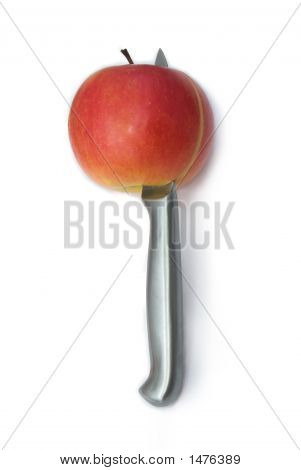 Food_010