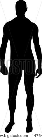 Corpo umano