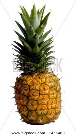 Food_013