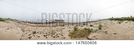 Rocky beach and morning fog in summer. Sea mist coast forest seaside natural environment. Shore in Koipsi Island Estonia Europe. 360 degrees panorama.