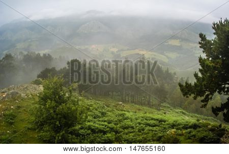 Morning Fog In The Mountains Of Asturias, Spain