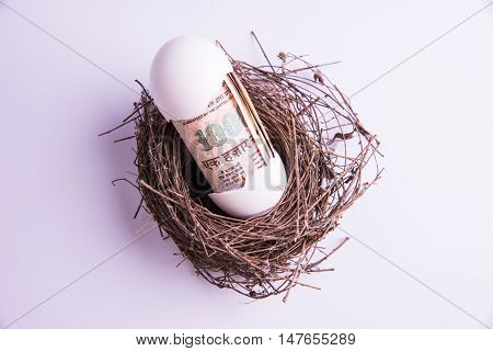 One thousand indian rupee note Coming Out from a Broken Egg in the Nest Against White Background