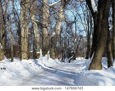 Travel through the beautiful corners of nature