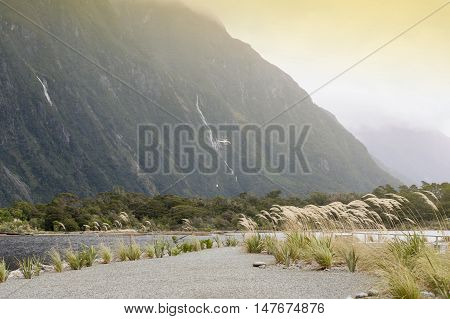 Scenic Area At Milford Sound Passenger Terminal Pier