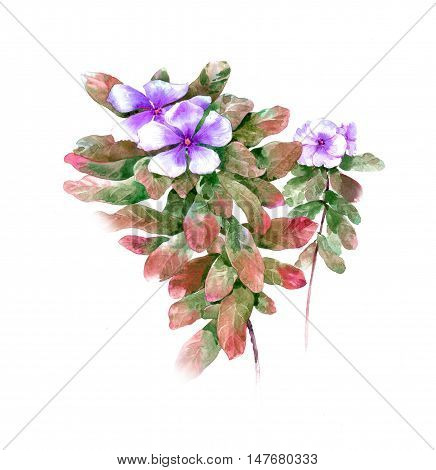 watercolor painting of leaves and flower on white background