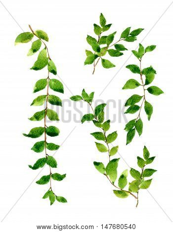 watercolor painting of leaves on white background