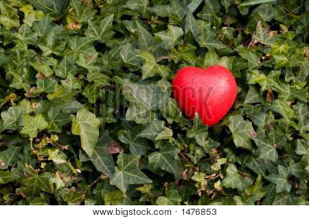 Cuore rosso