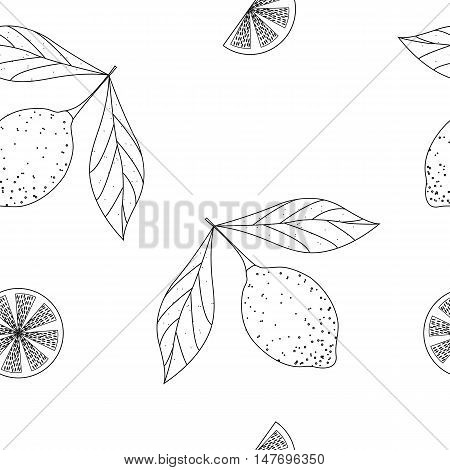 Hand drawn sketch style set of lemon fruit with leafs and sliced lemon. Seamless pattern, isolated on white background