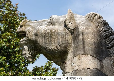 ROME, ITALY - JUNE 12, 2015: Ancient statue of horse in baths of Diocletian (Thermae Diocletiani) in Rome. Italy