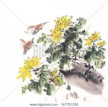 
Chinese painting--chrysanthemum and birds 