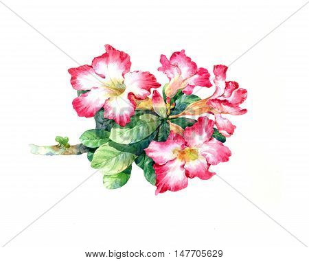 watercolor painting of leaves and flower on white background