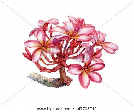 watercolor painting of leaves and flower on white background