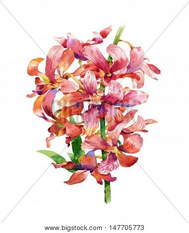watercolor painting of leaves and flower on white background
