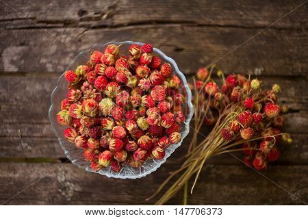Red Berries On Beautiful Background