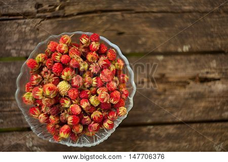 Red Berries On Beautiful Background