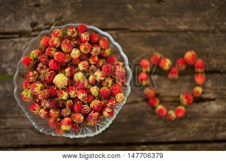 Red Berries On Beautiful Background