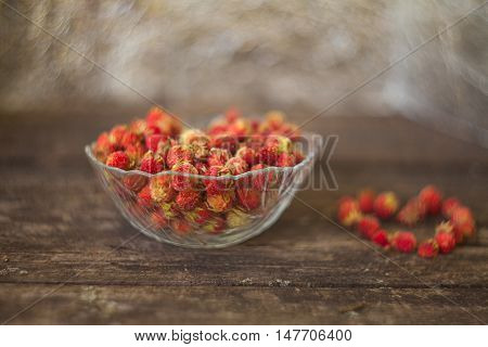 Red Berries On Beautiful Background