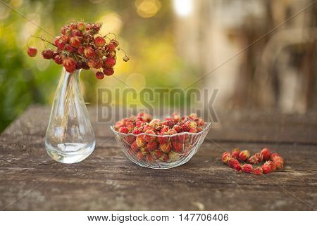 Red Berries On Beautiful Background