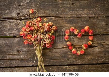 Red Berries On Beautiful Background
