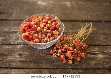 Red Berries On Beautiful Background