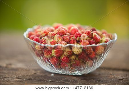 Red Berries On Beautiful Background