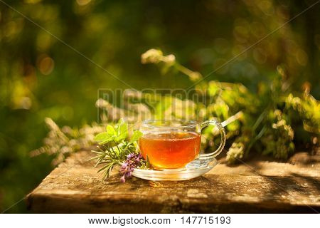 Green Tea In Beautiful Cup