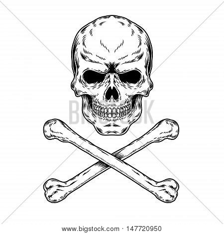 Vector illustration of a skull and crossbones, engraving