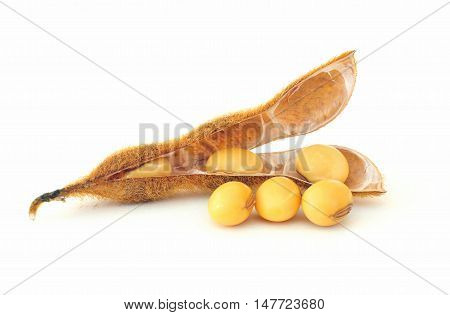 Soy bean seeds on a white background