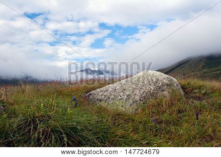 Summer Landscape In Altay Mountains, Russia