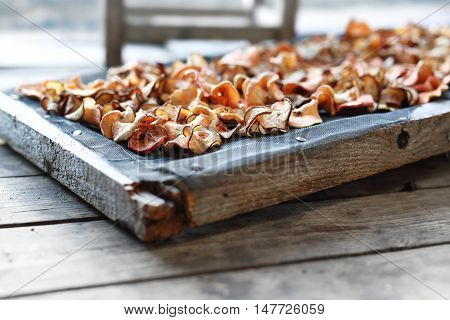 Drying apples in the sun. Chips with apples.
Healthy naturally dried fruit.