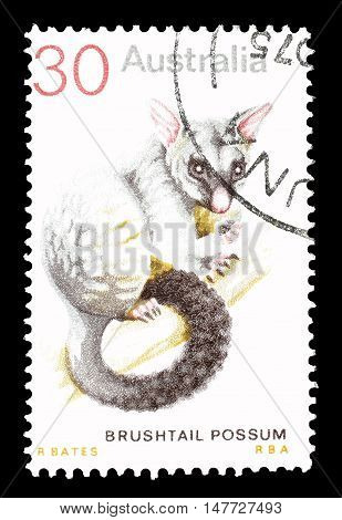 AUSTRALIA - CIRCA 1974 : Cancelled postage stamp printed by Australia, that shows Brushtail possum.