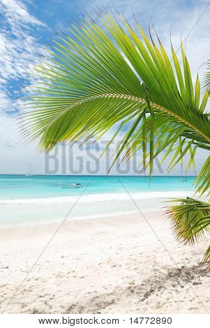 Smukke caribiske strand i den Dominikanske Republik