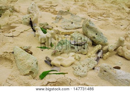 Close up of sand on a beach Natural texture background