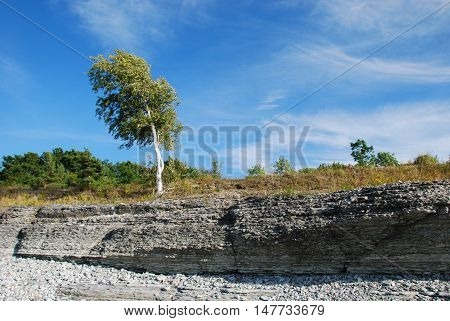 Eroded coastline at the swedish island Oland in the Baltic Sea