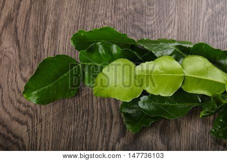 Kafir Lime Leaves