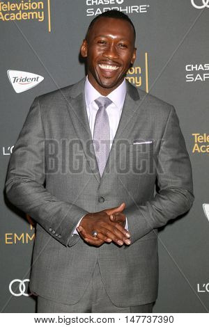 LOS ANGELES - SEP 16:  Mahershala Ali at the TV Academy Performer Nominee Reception at the Pacific Design Center on September 16, 2016 in West Hollywood, CA