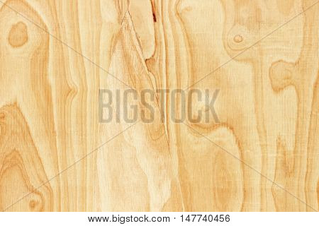 wood plywood texture background plywood texture with natural wood pattern