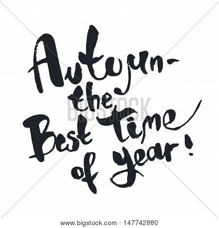 Autumn is the best time of year. Seasonal inspirational phrase. Suitable for use on T-shirts, postcards, posters. Vector illustration